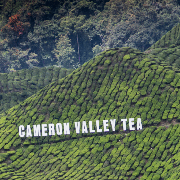 Honeymoon Package Cameron Highland